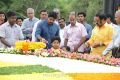 NTR 90th Birthday Celebrations @ NTR Ghat Photos