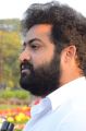 Actor Jr NTR @ NTR Ghat 2017 Photos