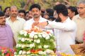 Nandamuri Taraka Rama Rao Jr. at NTR Ghat 2017 Photos