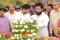 Nandamuri Taraka Rama Rao Jr. at NTR Ghat 2017 Photos