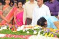 NTR Family Members at NTR Ghat 2017 Photos