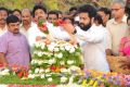 Nandamuri Taraka Rama Rao Jr. at NTR Ghat 2017 Photos