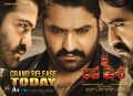 NTR's Jai Lava Kusa Movie Grand Release Today Posters