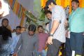 NTR - Santosh Srinivas Combo New Movie Launch Photos