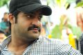 Jr NTR Santosh Srinivas Movie Opening Photos