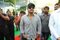 NTR – Santosh Srinivas film launch Photos