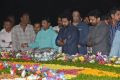 NTR's 23rd Vardhanthi at NTR Ghat Photos