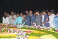 NTR's 23rd Vardhanthi at NTR Ghat Photos