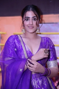 Tiger Nageswara Rao Actress Nupur Sanon Pictures