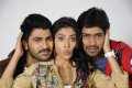 Sharwanand, Allari Naresh, Shriya Saran