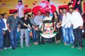 Nuvva Nena Audio Release Stills