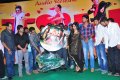 Nuvva Nena Audio Release Stills