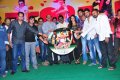 Nuvva Nena Audio Release Stills