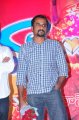 Nuvva Nena Audio Release Stills