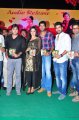 Nuvva Nena Audio Release Stills