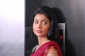 Nuvva Nena Shriya Saran in Saree Pics