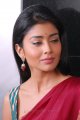 Shriya Saran in Half Saree Stills