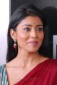 Nuvva Nena Shriya Saran in Saree Pics