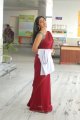 Nuvva Nena Shriya Saran in Saree Pics