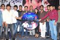 Nuvvala Nenila Movie Audio Launch Stills