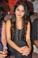 Actress Sheena Shahabadi @ Nuvve Naa Bangaram Audio Launch Stills