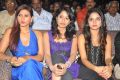 Nuvve Naa Bangaram Movie Audio Launch Stills