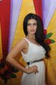 Actress Sana Shetty @ Nuvvu Nenu Okatavudaam Audio Launch Stills