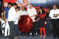 Oka Criminal Prema Katha Movie Audio Launch Stills