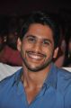 Naga Chaitanya @ Oka Laila Kosam Audio Success Meet Stills