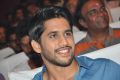 Actor Naga Chaitanya @ Oka Laila Kosam Audio Success Meet Stills