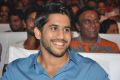 Actor Naga Chaitanya @ Oka Laila Kosam Audio Success Meet Stills