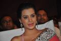 Diksha Panth @ Oka Laila Kosam Audio Success Meet Stills