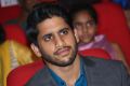 Actor Naga Chaitanya @ Oka Laila Kosam Platinum Disc Function Stills