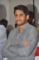 Actor Naga Chaitanya @ Oka Laila Kosam Movie Success Meet Stills