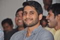 Naga Chaitanya @ Oka Laila Kosam Movie Success Meet Stills