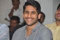 Naga Chaitanya @ Oka Laila Kosam Movie Success Meet Stills