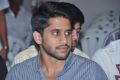 Naga Chaitanya @ Oka Laila Kosam Movie Success Meet Stills