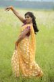 Actress Nisha Shah Hot in Oke Okka Chance Movie Photos