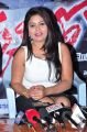 Actress Lavanya @ Okkaditho Modalaindi Movie Team Meet Stills