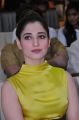 Tamanna @ Okkadochadu Audio Launch Stills