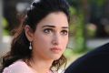 Actress Tamanna in Okkadochadu Movie New Photos