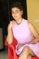 Okkadu Migiladu Heroine Anisha Ambrose Interview Photos