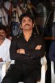 Nagarjuna Akkineni @ Om Namo Venkatesaya Release Press Meet Stills