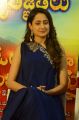 Actress Pragya Jaiswal @ Om Namo Venkatesaya Success Meet Stills