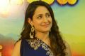 Pragya Jaiswal @ Om Namo Venkatesaya Success Meet Stills