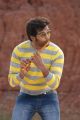 Actor Vinay Rai in Onbadhula Guru Movie Stills