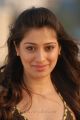 Actress Lakshmi Rai in Onbathula Guru Tamil Movie Stills