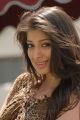 Actress Lakshmi Rai in Onbadhula Guru Movie Stills