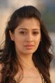 Actress Lakshmi Rai in Onbathula Guru Movie Stills