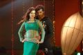 Hot Lakshmi Rai, Vinay in Onbadhula Guru Movie Stills